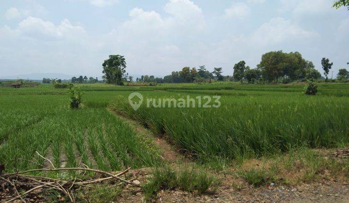 Tanah Pinggir Jalan Desa Padaasih Cocok Peruntukan Industri Dan Gudang 1