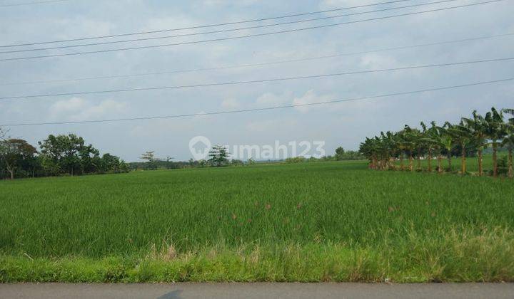 Tanah Pinggir Jalan Raya Gabuswetan Buat Ruang Usaha Atau Gudang 1