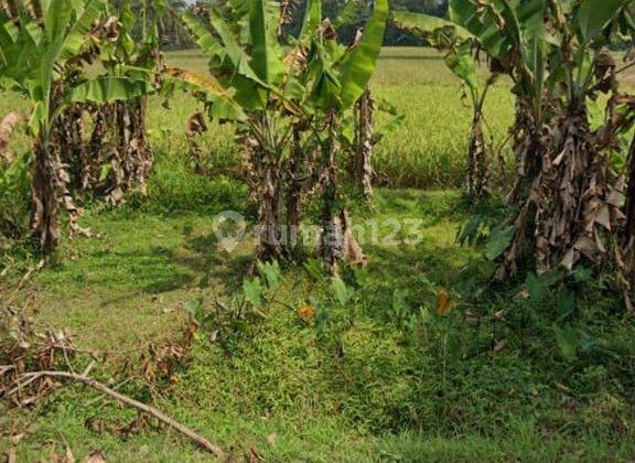 Tanah Strategis Bangun Perumahan Pinggir Jalan Veteran Dekat Tol 2