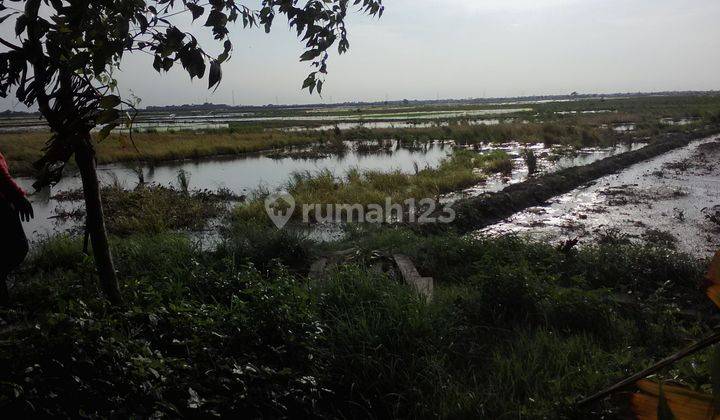 Tanah Strategis Bangun Perumahan Subsidi Pinggir Jalan Pilar Sukatani 2