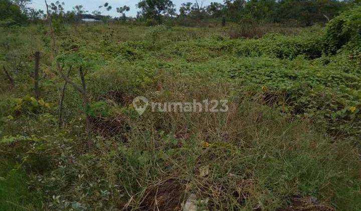 Tanah Strategis Bangun Gudang Dekat Jalan Pantura Losarang 2