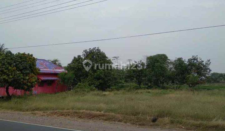 Tanah Dan Empang Bisa Dijadikan Gudang Pinggir Jalan Raya Losarang Indramayu 1