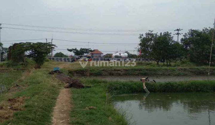 Tanah Dan Empang Bisa Dijadikan Gudang Pinggir Jalan Raya Losarang Indramayu 2