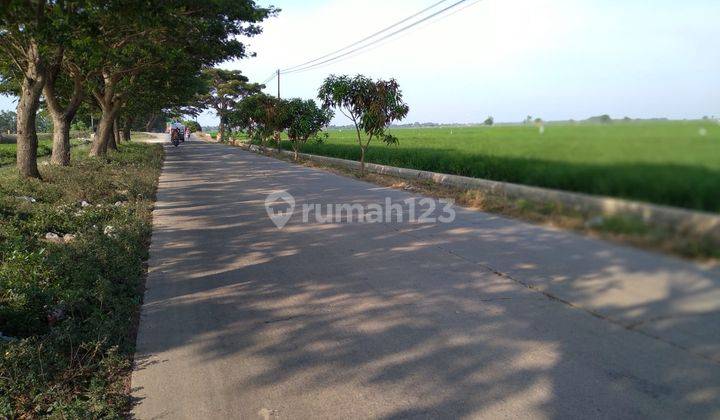 Tanah Untuk Usaha Atau Gudang Pinggir Jalan Compreng Dekat Patimban 1