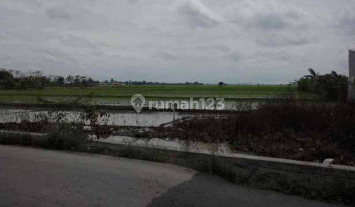 Tanah Untuk Bangun Cluster Dan Ruang Usah Pinggir Jalan Raya Tambelang 1