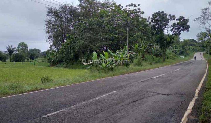 Tanah Untuk Industri Pinggir Jalan Raya Sanca Gantar Dan Dekat Sungai 2