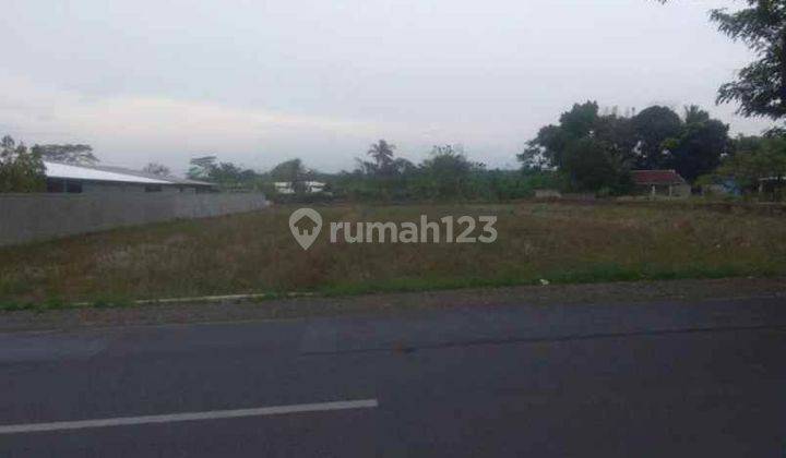 Tanah Strategis Bangun Ruang Usaha Atau Gudang Pinggir Jalan Raya Cinangsi Subang 1