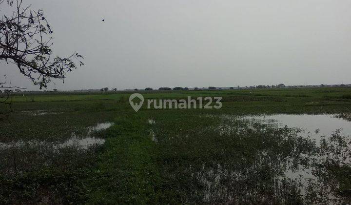 Tanah Untuk Bangun Perumahan Kelas Cluster Harga Subsidi Pinggir Raya Sukatani Sukamulya 2