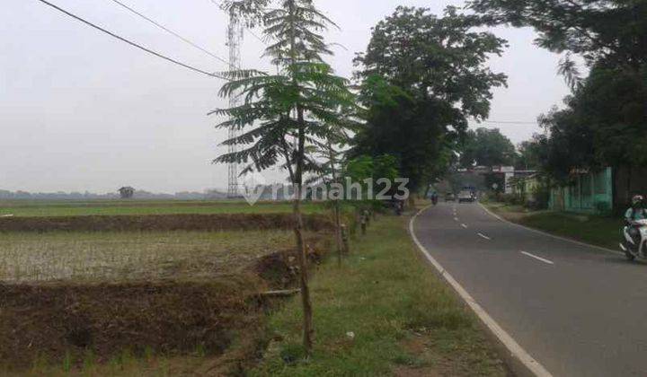 Tanah Untuk Bangun Gudang Atau Ruang Usaha Pinggir Jalan Raya Binong Subang 2