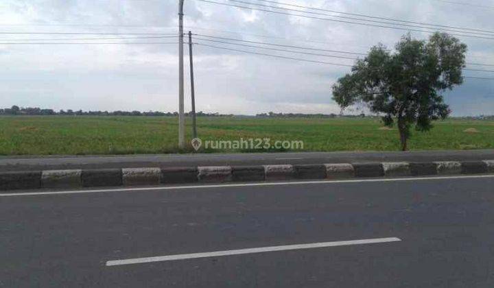 Tanah Sawah Bisa Peruntukan Gudang Strategis Pinggir Jalan Raya Pantura di Lohbener 1