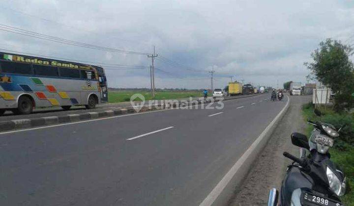 Tanah Sawah Bisa Peruntukan Gudang Strategis Pinggir Jalan Raya Pantura di Lohbener 2