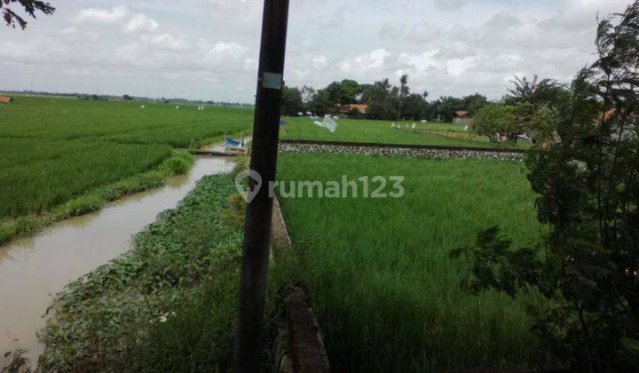  Tanah Untuk Bangun Usaha Dan Gudang Pinggir Jalan Lingkar Tanjungpura Karawang Barat 2