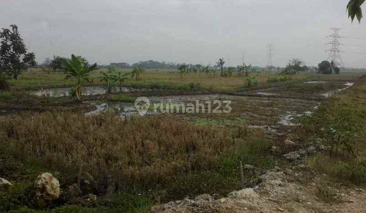 Tanah Untuk Usaha Dan Gudang Pinggir Jalan Tambelang Dekat Tol Gabus Tambun Utara 1