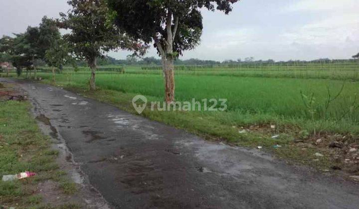 Tanah Untuk Industri Atau Perumahan Strategis Dekat Jalan Raya Gunungsari Pagaden  1