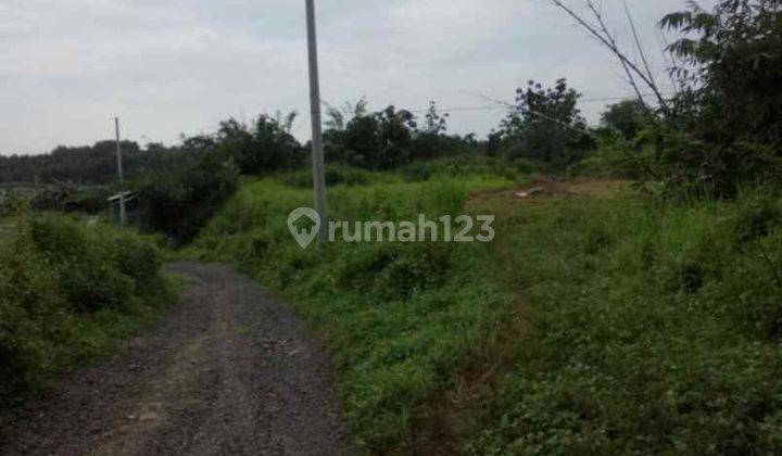 Tanah Peruntukan Kandang Di Zona Industri Sanca Blok Salep Dekat Gerbang Tol 1