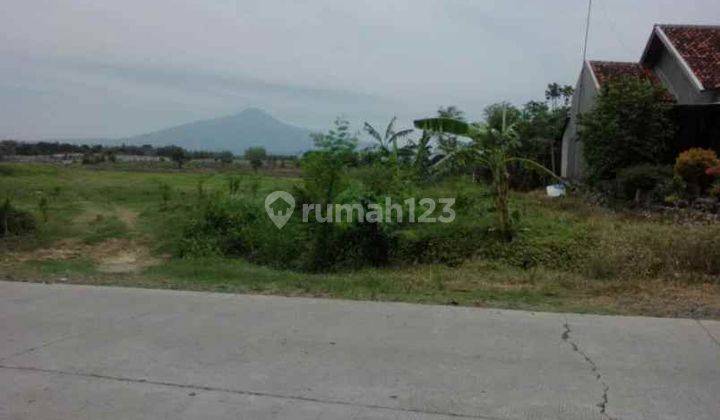 Tanah Untuk Bangun Rumah Kios Pinggir Jalan Alternatip Desa Sanca 1