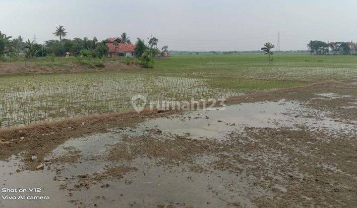 Tanah Untuk Bangun Perumahan Pinggir Jalan Desa Karangrahayu Karangbahagia Bekasi 1