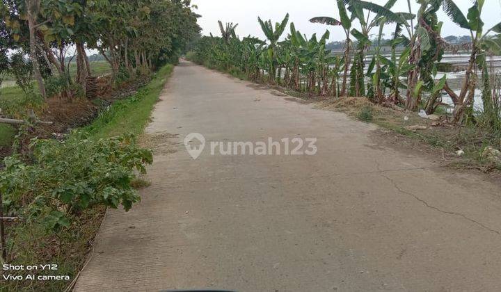 Tanah Untuk Bangun Perumahan Pinggir Jalan Desa Karangrahayu Karangbahagia Bekasi 2