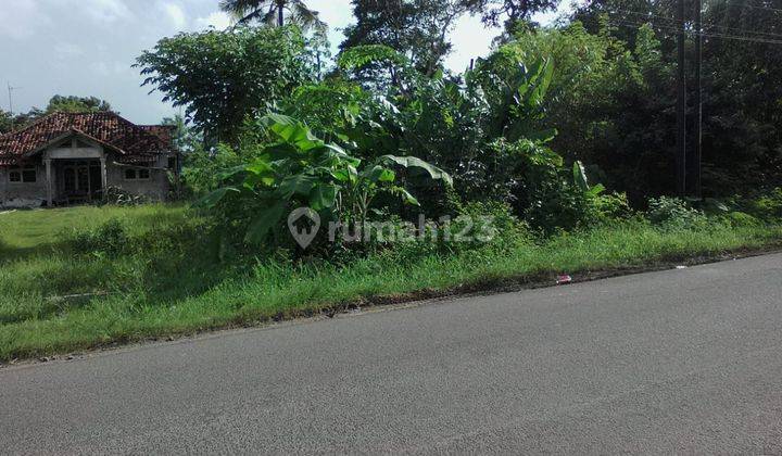 Tanah Untuk Ruang Usaha Dan Gudang Pinggir Jalan Syeh Quro Telagasari Karawang 1