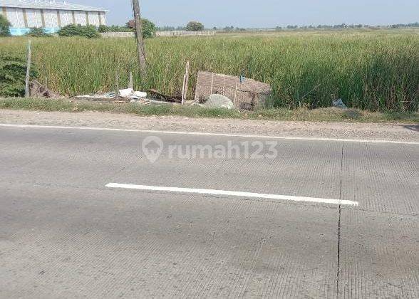 Tanah Untuk Bangun Gudang Atau Usaha Industri Pinggir Jalan Pantura Patrol  1