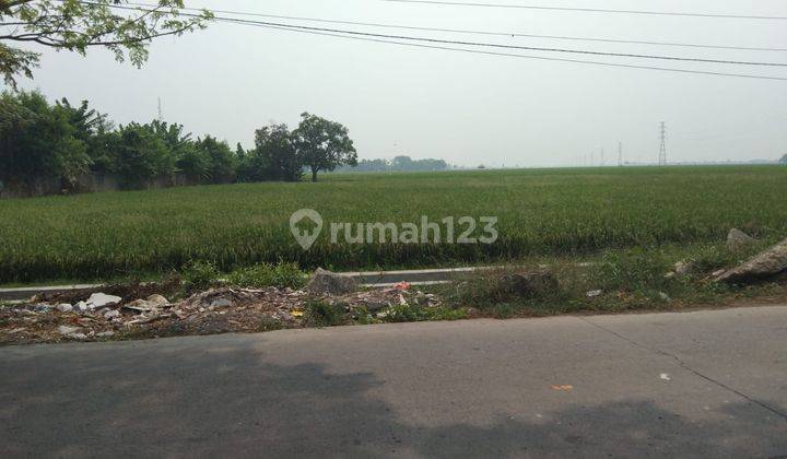 Tanah Untuk Usaha Atau Gudang Pinggir Jalan Jalan Syeh Quro Majalaya Karawang 2