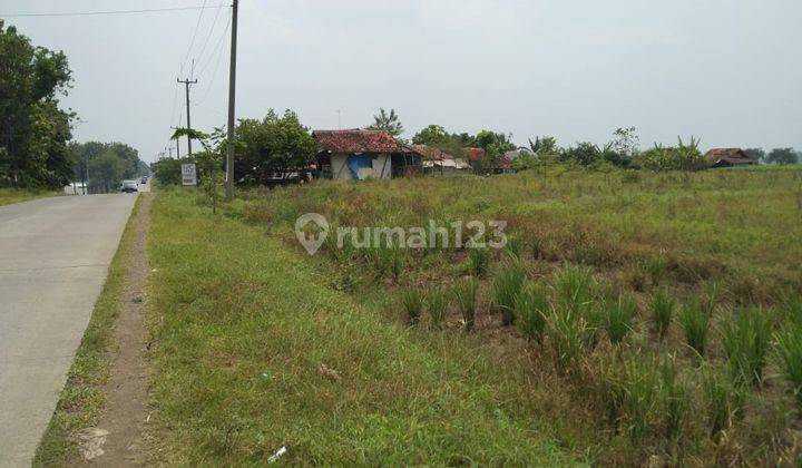 Tanah Industri Dan Gudang Pinggir Jalan Jungjing Sanca Dekat Gerbang Tol Cikedung Indramayu 1