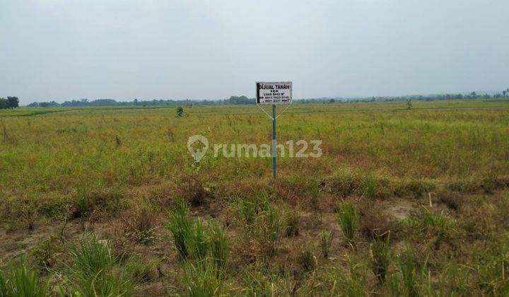 Tanah Industri Dan Gudang Pinggir Jalan Jungjing Sanca Dekat Gerbang Tol Cikedung Indramayu 2