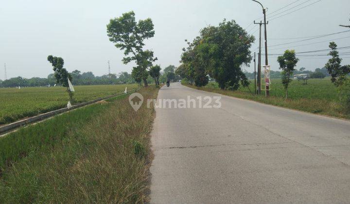 Tanah Untuk Usaha Atau Gudang Pinggir Jalan Jalan Syeh Quro Majalaya 2