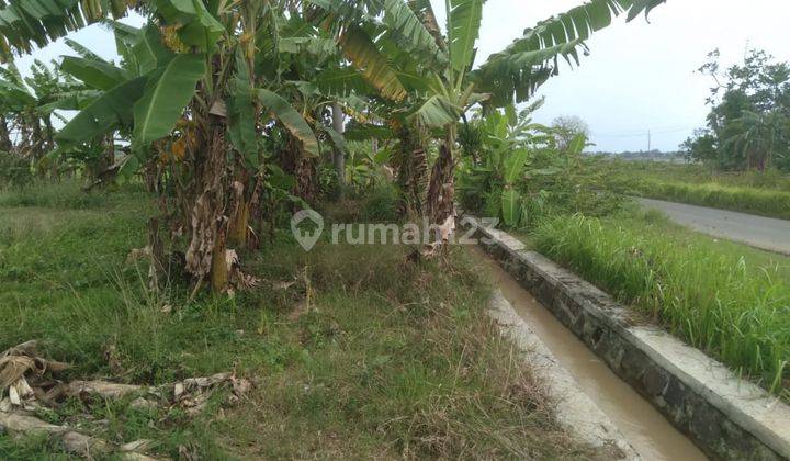 Tanah Untuk Gudang Atau Pabrik Pinggir Jalan Lempuyang Plawangan Anjatan Indramayu 2