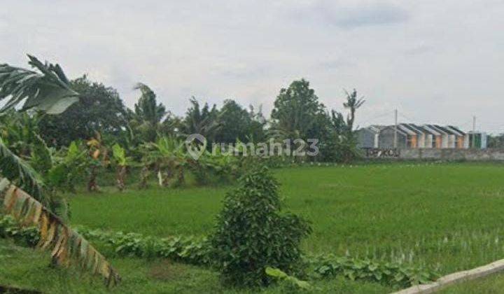 Tanah Untuk Bangun Perumahan di Area Perumahan Desa Wanajaya Cibitung 2