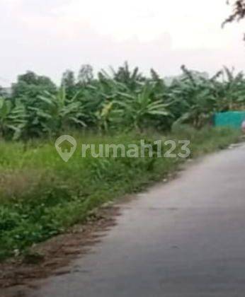 Tanah Untuk Bangun Perumahan di Area Perumahan Desa Wanajaya Cibitung 1