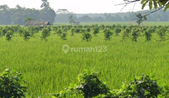 Tanah Untuk Bangun Ruang Usaha Atau Gudang Pinggir Jalan Raya Dawuan Kalijati  2