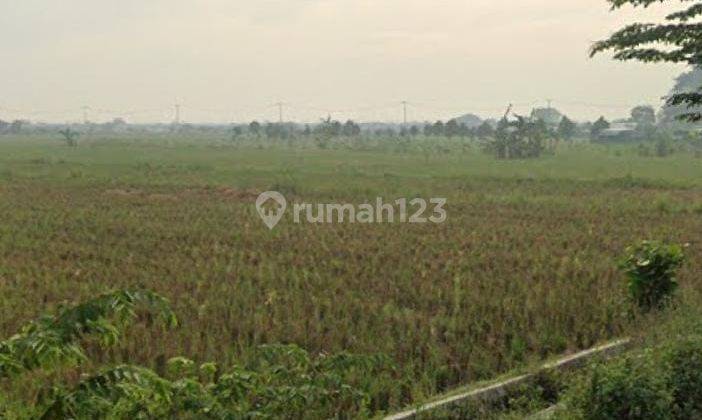 Tanah Untuk Perumahan Subsidi Pinggir Jalan Raya Sukamanah Sukahurip Sukatani Bekasi 2