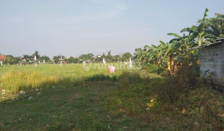 Tanah Untuk Bangun Perumahan Dekat Jalan Raya Pasar Babelan 1