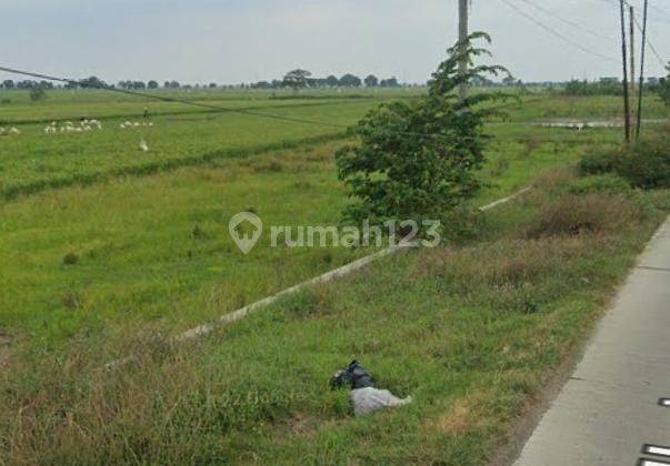 Tanah Untuk Gudang Atau Pool Mobil Serta Perumahan Dekat Jalan Pantura Patrol 2