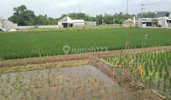 Tanah Untuk Bangun Cluster Atau Gudang Dan Ruang Usaha Pinggir Jalan Kampung Gabus Tambun Utara 1