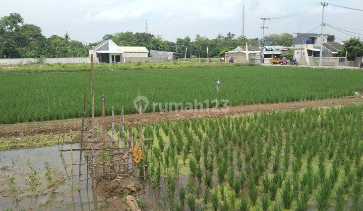 Tanah Untuk Bangun Cluster Atau Gudang Dan Ruang Usaha Pinggir Jalan Kampung Gabus Tambun Utara 2