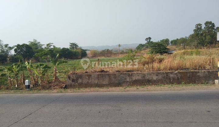 Tanah Industri Dan Gudang Atau Pool Kendaraan Pinggir Jalan Raya Subang Cikamurang 1