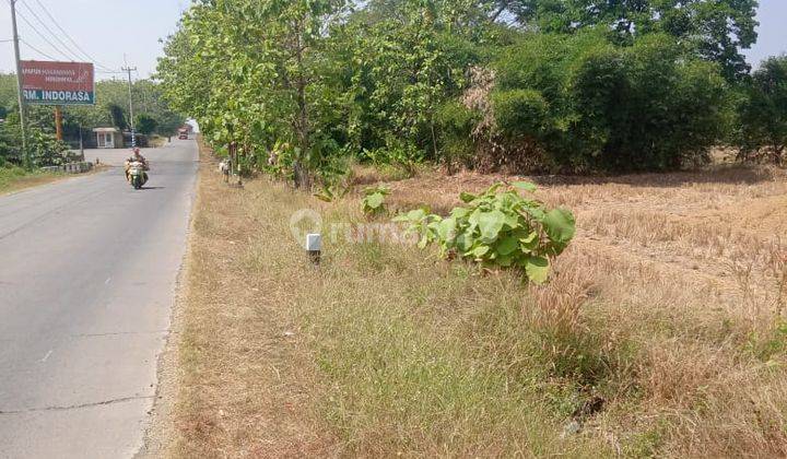 Tanah Industri Dan Gudang Atau Pool Kendaraan Pinggir Jalan Raya Subang Cikamurang 2