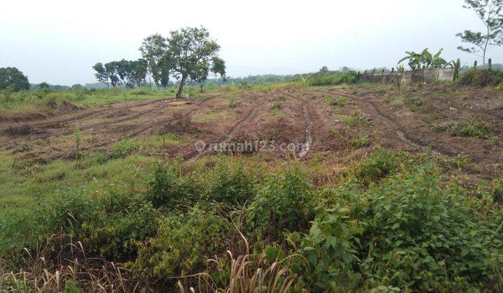 Tanah Industri Dan Gudang Atau Pool Kendaraan Pinggir Jalan Raya Subang Cikamurang Desa Sanca Indramayu 2