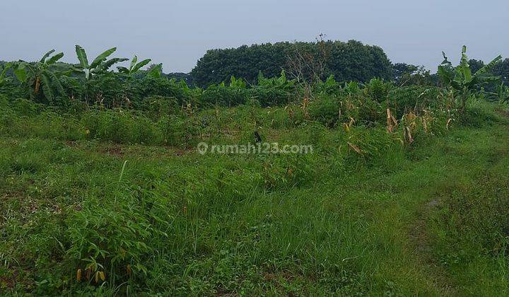 Tanah Industri Dekat Pabrik Pinggir Jalan Raya Pabuaran Subang 2