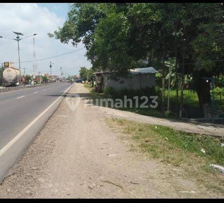 Tanah Untuk Usaha , Kantor Dan Gudang Pinggir Jalan Pantura Pusakanagara 2