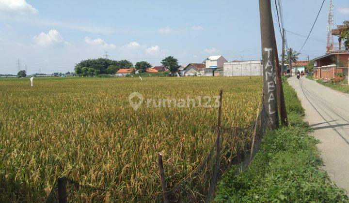 Tanah Untuk Perumahan Subsidi Pinggir Jalan Srimukti Dekat Gerbang Tol Gabus Tambun Utara 1