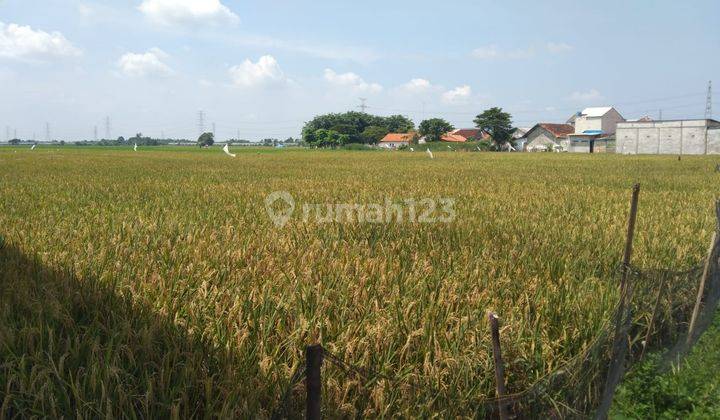 Tanah Untuk Perumahan Subsidi Pinggir Jalan Srimukti Dekat Gerbang Tol Gabus Tambun Utara 2