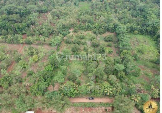 Tanah Industri Purwadadi Dekat Gerbang Tol Kalijati Subang 2