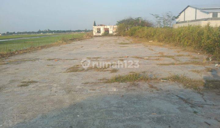 Tanah Untuk Bangun Gudang Dan Usaha Industri Dekat Jalan Pantura Dan Gerbang Tol Pemalang Jawa Tengah  1