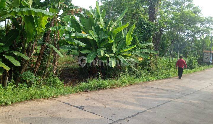 Tanah Untuk Industri Dan Gudang Dekat Jalan Pantura Tulis Batang Jawa Tengah 2