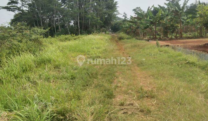 Tanah Industri Pinggir Jalan Dekat Gerbang Tol Kandeman Batang Jawa Tengah  1