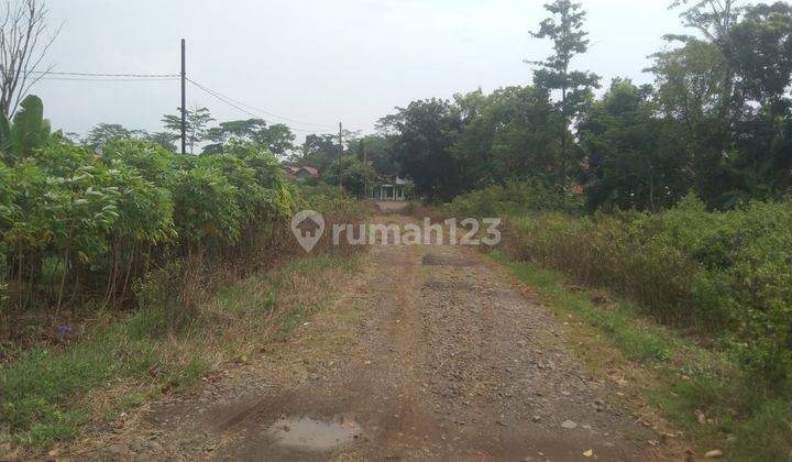 Tanah Industri Pinggir Jalan Dekat Gerbang Tol Kandeman Batang Jawa Tengah  2