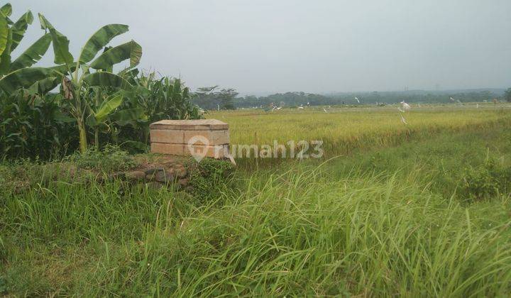 Tanah Industri Pinggir Jalan Dekat Gerbang Tol Kandeman Batang Jawa Tengah  2